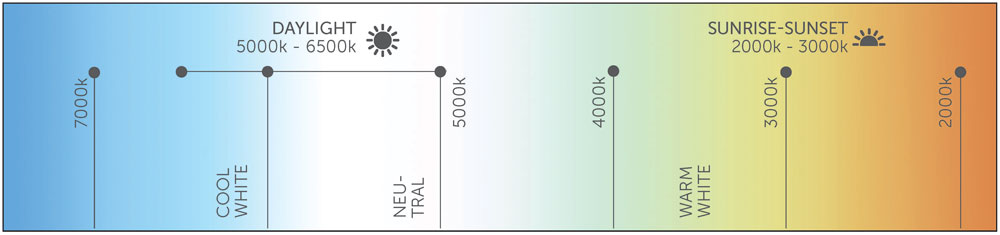 LED Dynamic White Charts